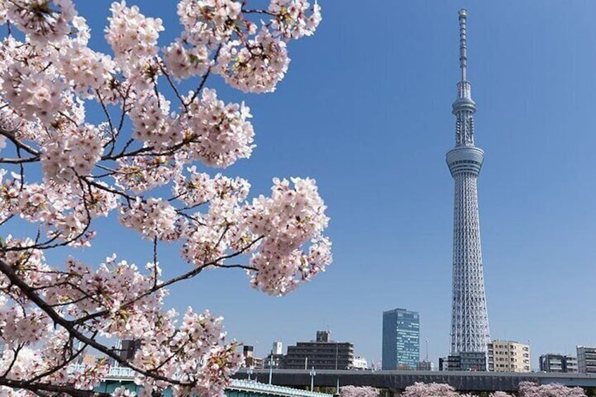 Tokyo Skytree, a towering landmark in Japan, offers breathtaking views of the cityscape from its observation decks, attracting visitors worldwide.