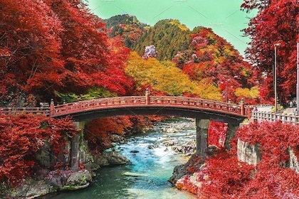 One Day Private Tour to Nikko With English Speaking Driver