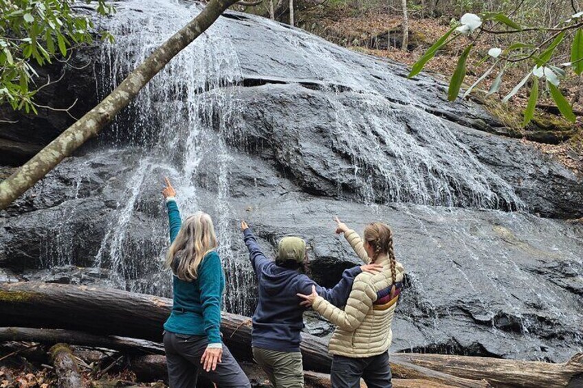 Half Day Group Waterfall Hiking Tour