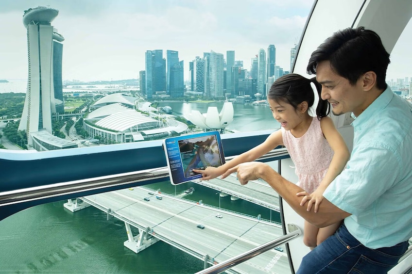 Singapore Flyer 