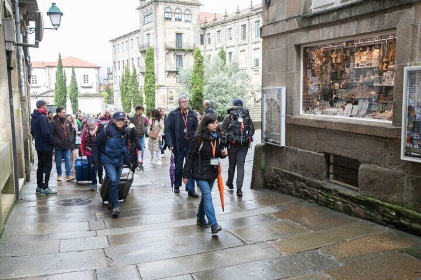 Full-Day Excursion to Santiago from Vigo for Cruisers Only