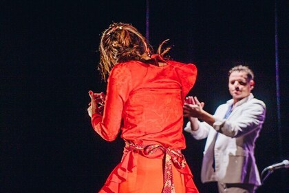 Flamenco Benalmadena Show