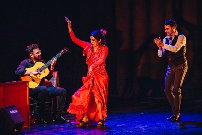 Flamenco Benalmadena Show