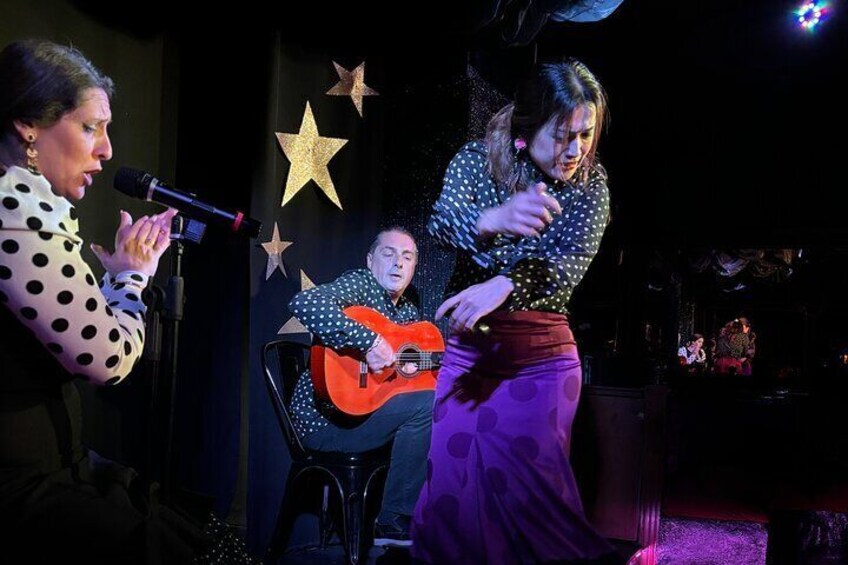 Flamenco Benalmadena Show