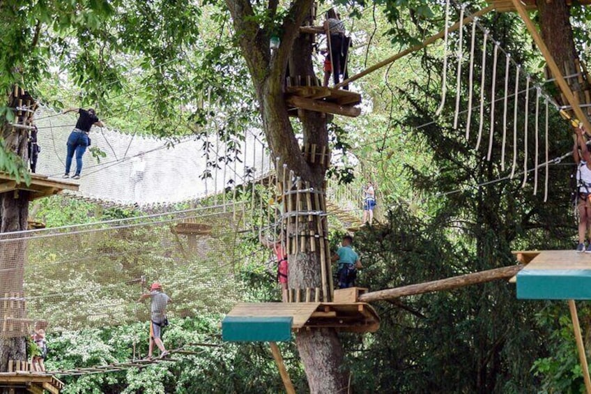 Chartres treetop adventure course