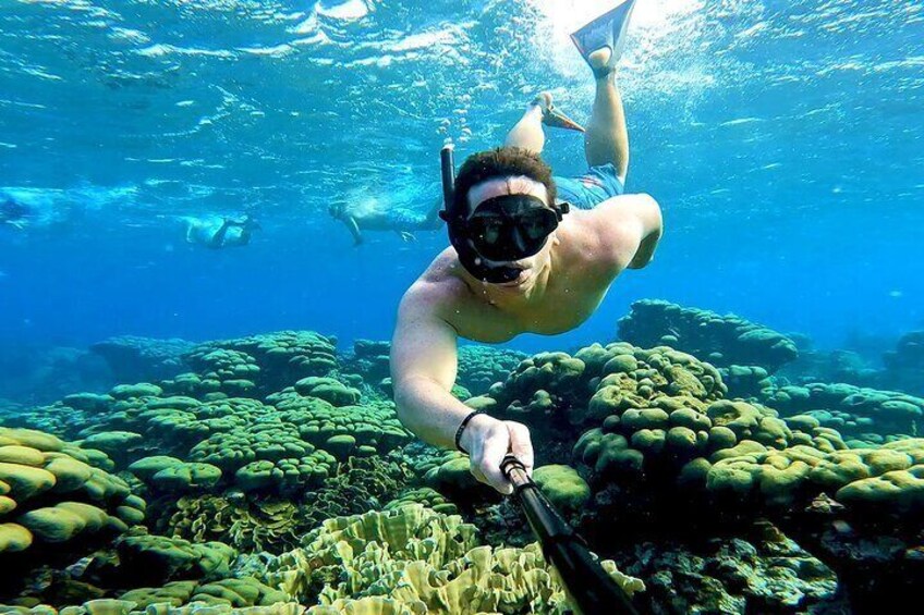 Private Angelfish Snorkeling with Brunch in Aruba