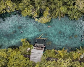 Bonito: Nascente Azul Lake Snorkeling & Activities