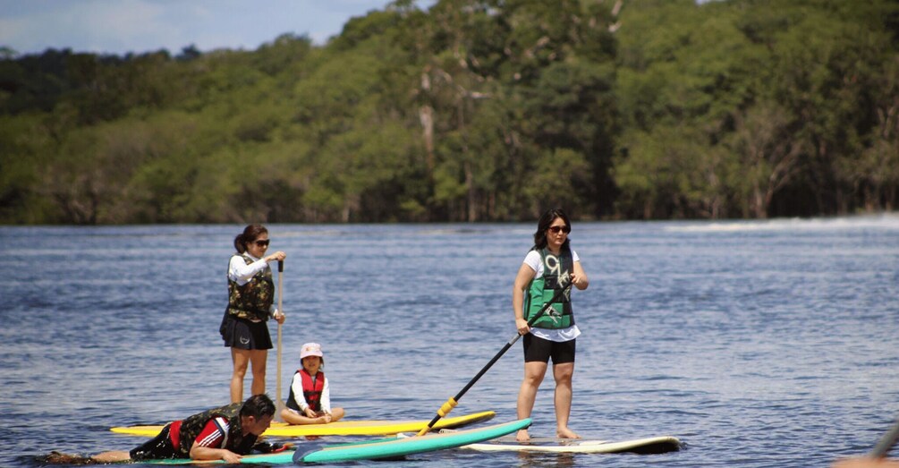 Picture 2 for Activity Manaus: Amazon River Stand-Up Paddle