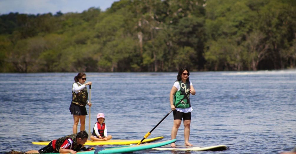 Picture 2 for Activity Manaus: Amazon River Stand-Up Paddle