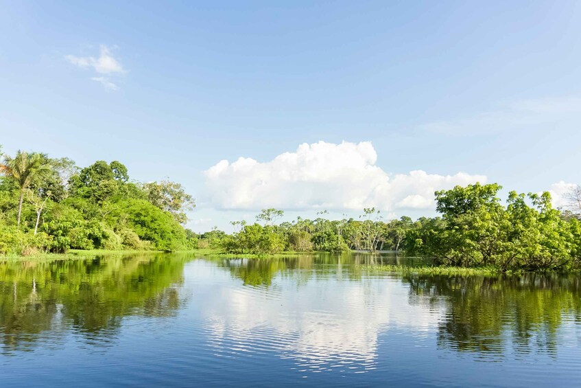 Picture 3 for Activity Manaus: Amazon River Stand-Up Paddle