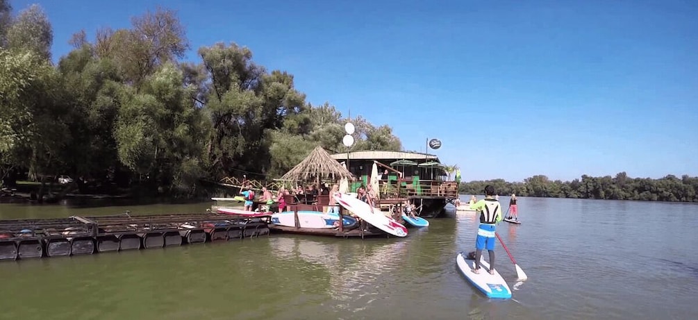 Picture 1 for Activity Manaus: Amazon River Stand-Up Paddle