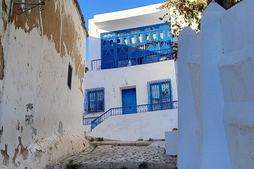 2 Hours Shared Walking Tour of Sidi Bou Said