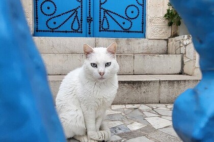 Tour a pie compartido de 2 horas por Sidi Bou Said