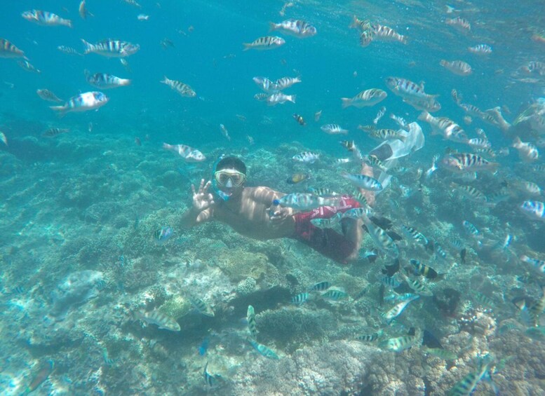 Picture 2 for Activity Bali: Labuan Amuk Snorkeling with Lunchbox
