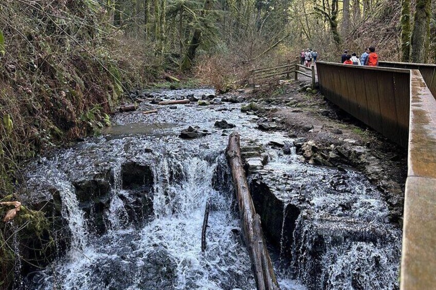 Forest Park Hiking Tour to Pittock Mansion