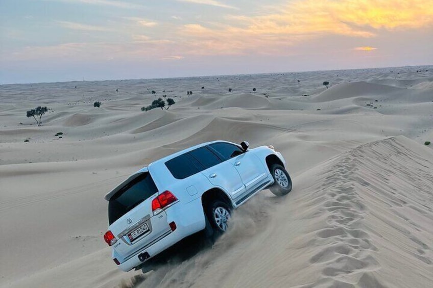 Abu Dhabi: Private Evening Desert Safari with BBQ and Live Shows