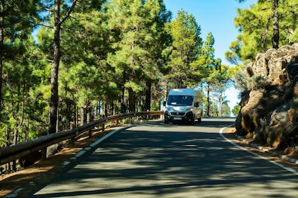 Gran Canaria: recorrido por lo más destacado de la isla con almuerzo opcion...