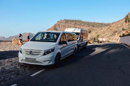 Gran Canaria: Insel-Highlights-Tour mit optionalem Mittagessen