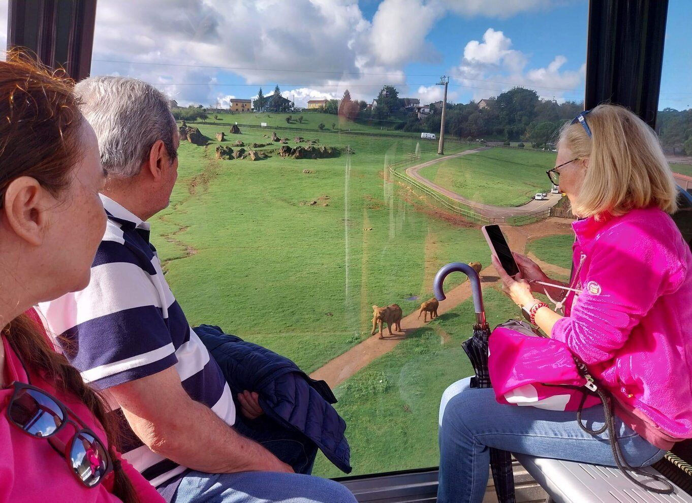 From Santander: Cabarceno Natural Park Half-Day Trip