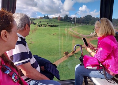 Dari Santander: Perjalanan Setengah Hari Cabarceno Natural Park