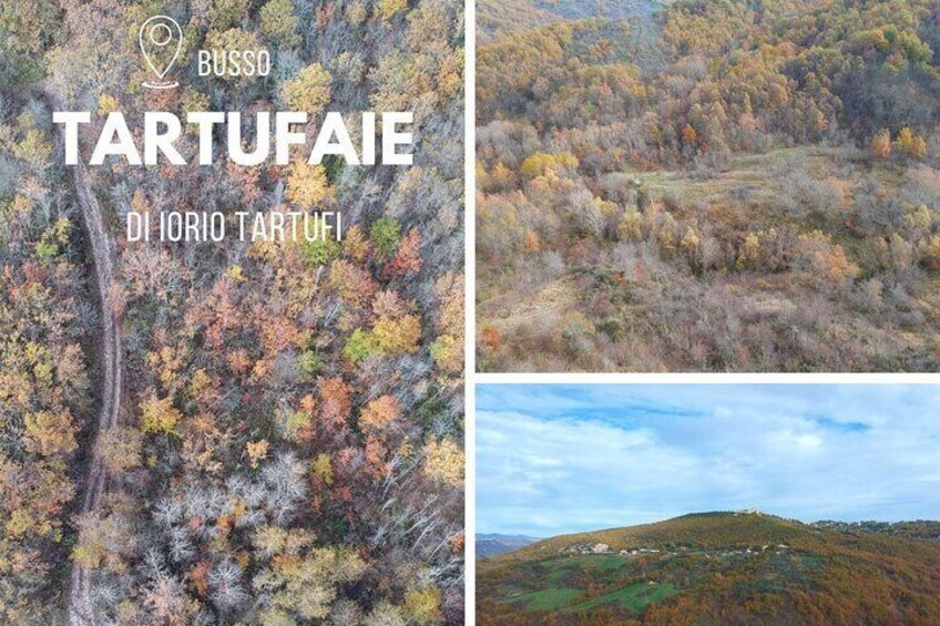 Truffle Hunting with Food tasting