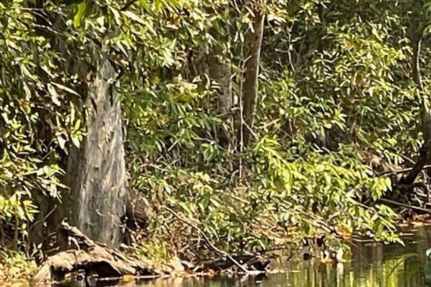Along the river