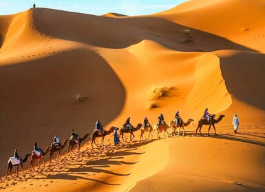 Au départ de Marrakech, excursion de 3 jours dans le désert du Sahara à Mer...