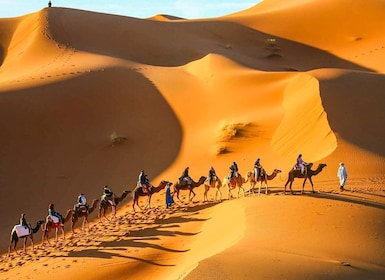 Au départ de Marrakech : Circuit de 3 jours au Sahara vers les dunes de l'E...