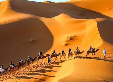 Från Marrakech 3-dagars Sahara-tur till Merzouga med / boende
