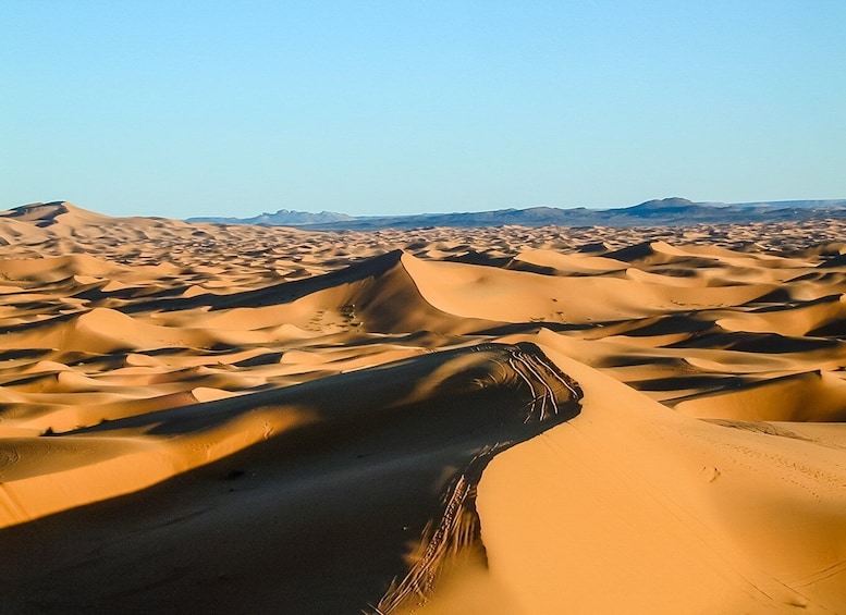 Picture 5 for Activity From Marrakech 3-Day Sahara Desert Trip to Merzouga