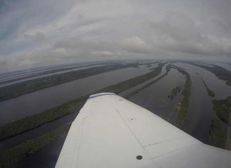 Picture 1 for Activity Manaus: Amazon Rainforest Panoramic Airplane Flight