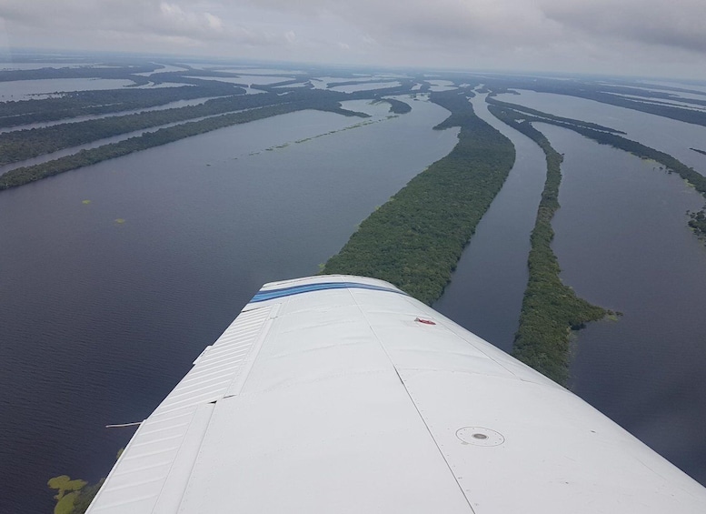 Picture 3 for Activity Manaus: Amazon Rainforest Panoramic Airplane Flight