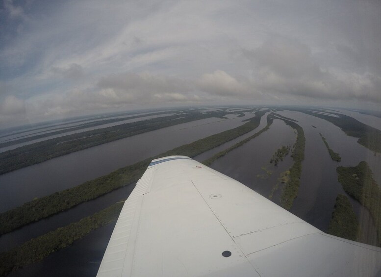 Picture 1 for Activity Manaus: Amazon Rainforest Panoramic Airplane Flight