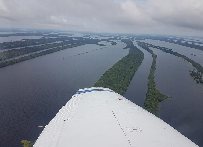 Picture 3 for Activity Manaus: Amazon Rainforest Panoramic Airplane Flight