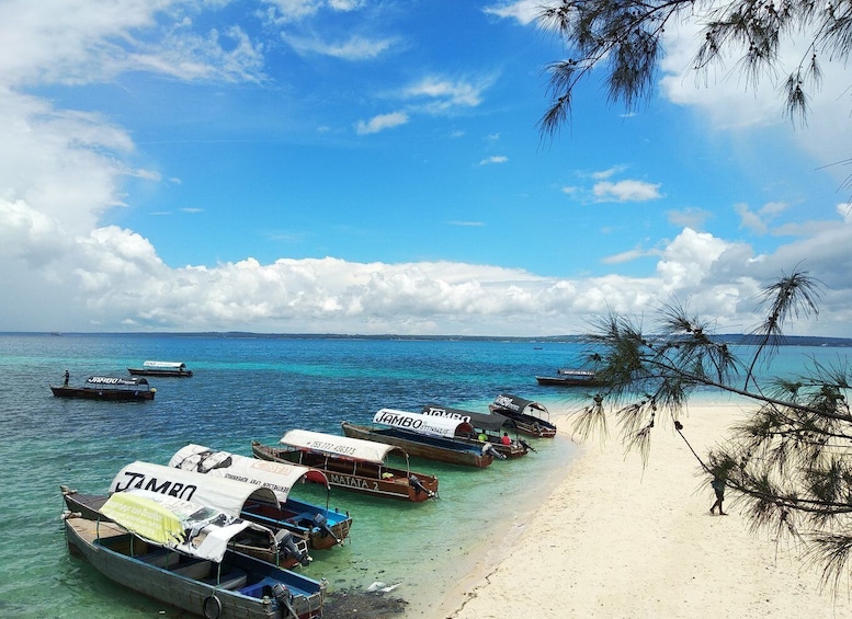 Zanzibar: Prison Island Tour with Lunch on the Sandbank