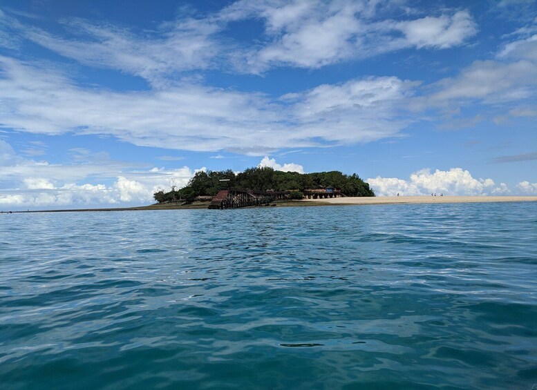 Picture 9 for Activity Zanzibar: Prison Island Tour with Lunch on the Sandbank