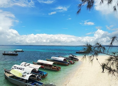 Zanzibar: Tour dell'isola della prigione con pranzo sul banco di sabbia