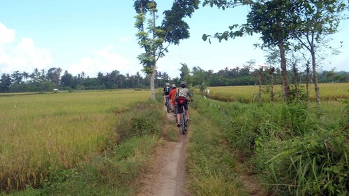 ゴロン村と霊鷲寺への田園サイクリング