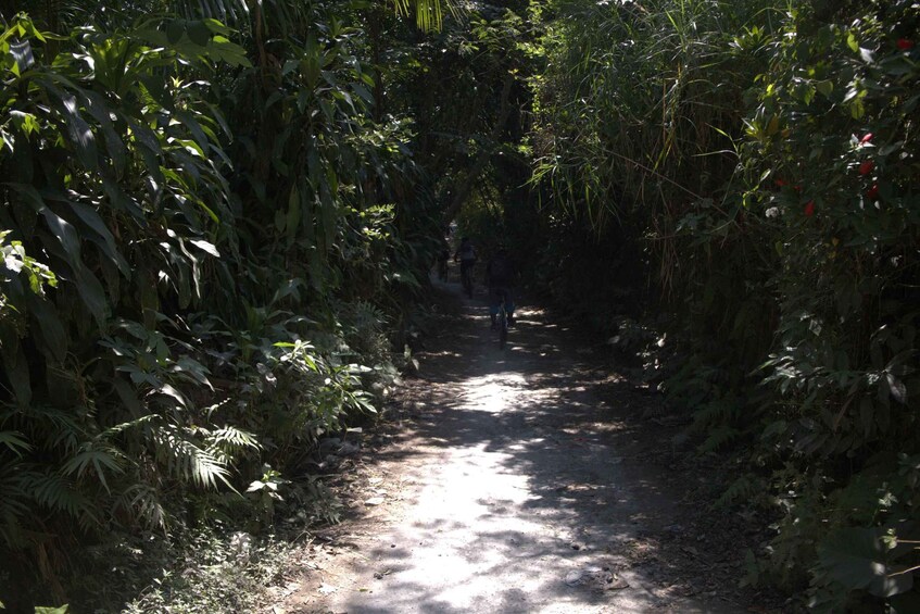 Picture 6 for Activity Countryside Bike Ride to Golong Village and Lingsar Temple