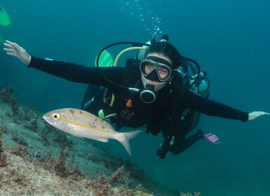 Paraty: Experiencia de buceo de descubrimiento para principiantes