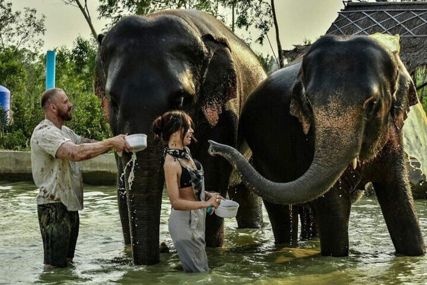 Elephant Sanctuary Pattaya half day tour