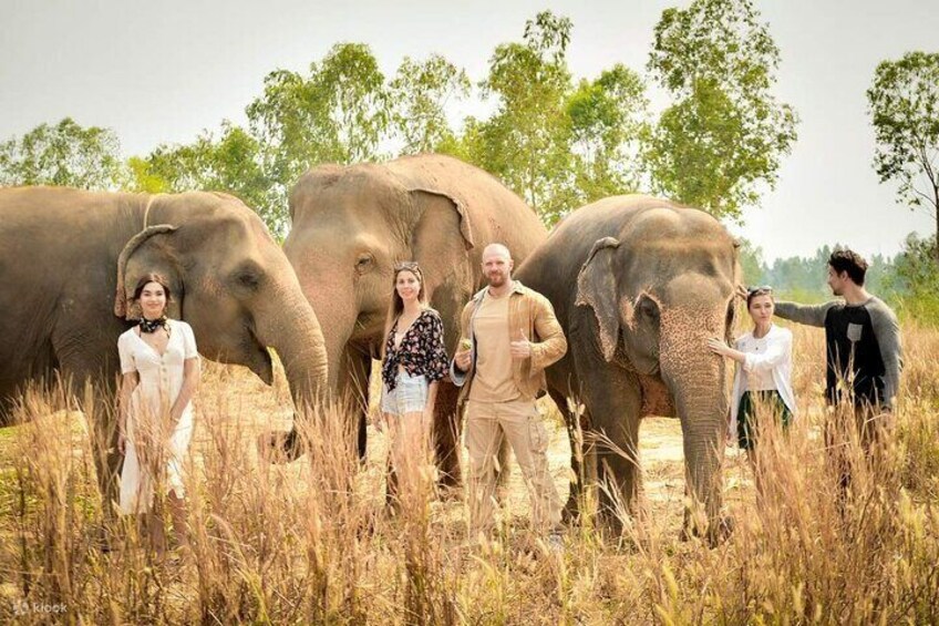 Elephant Sanctuary Pattaya half day tour