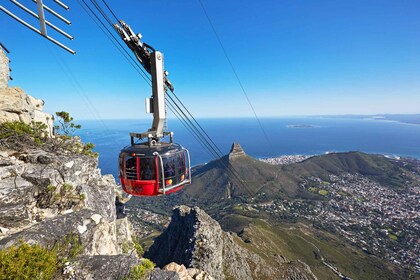 Cape Town: Halvdags byrundtur