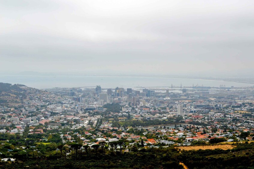 Picture 7 for Activity Cape Town: Half-Day City Tour