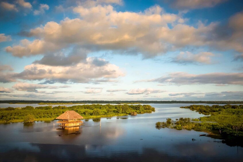 Picture 8 for Activity Manaus to Belem 5-Day Local Boat Trip