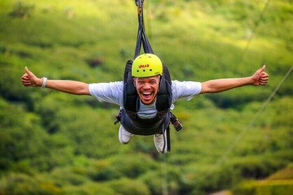 The Signature Zipline - 1.5km Zipline