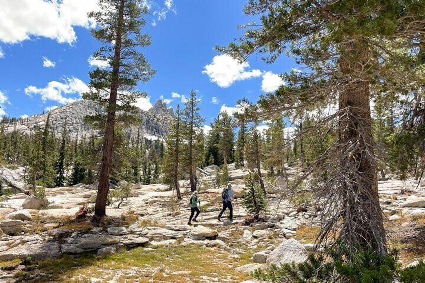 Cathedral Lakes, Yosemite - Private Hiking Tour