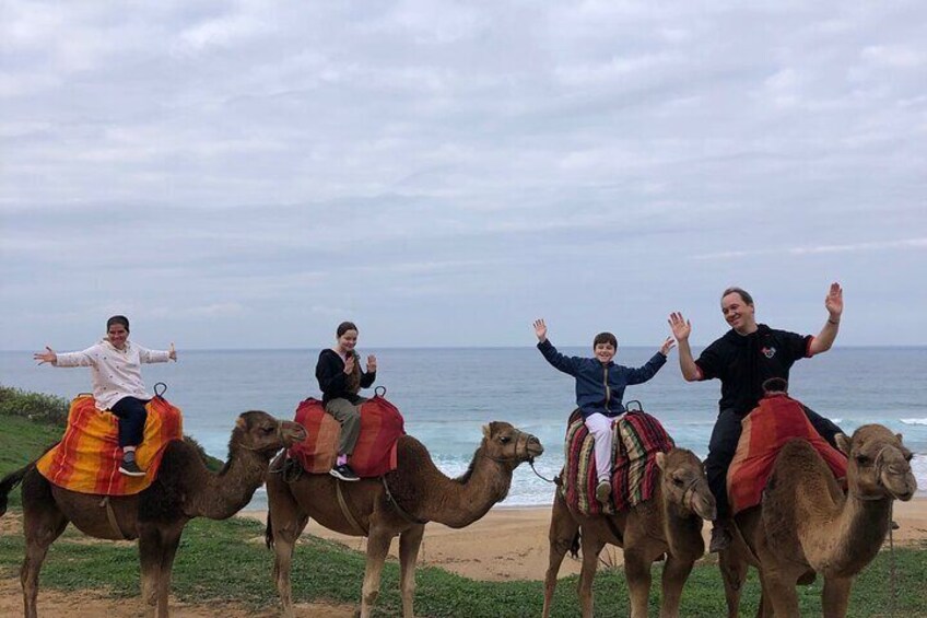 Private Tangier Tour and Camel Ride From Cruise Ship 