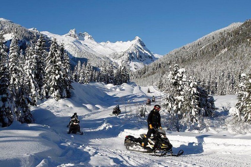 Scenic Snowmobile Tour