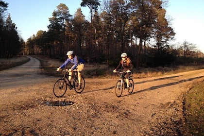 New Forest Sunset Bike Rides